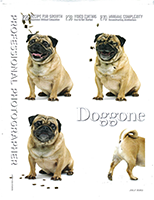Cover of Professional Photographer magazine with four photographs of a pug, the one at the bottom right showing only the tail as the dog walks off the page under the headline "Doggone"