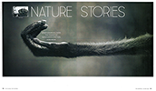Opening spread of "Nature Stories" Link to PDF